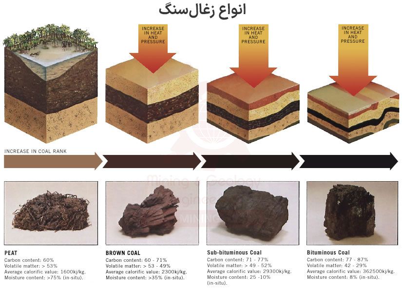 شکل‌ انواع زغال‌سنگ‌