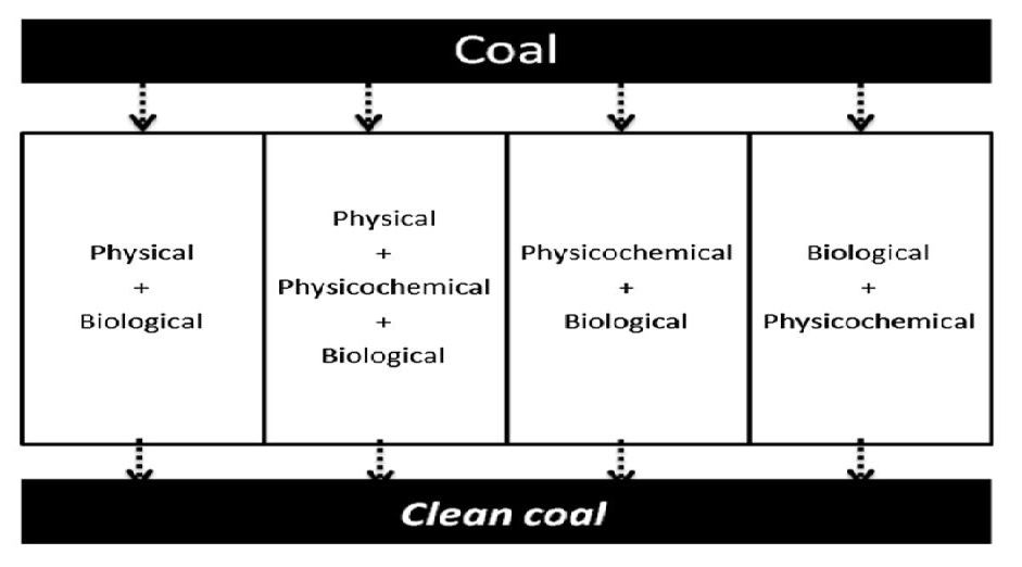 شکل گوگردزدایی‌ بیولوژیکی‌ در فرآوری زغال سنگ‌